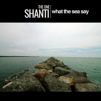 What the Sea Say by The One Shanti