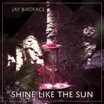 Shine Like The Sun by Jay Birdface