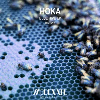 Blue Hive by Hoka