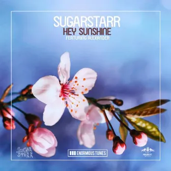 Hey Sunshine (feat. Alexander) by Sugarstarr