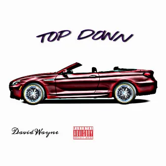 Top Down by David Wayne