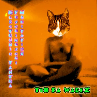 Electronic Tantra Fushimushi Meditation I by Tuh Pa Warez