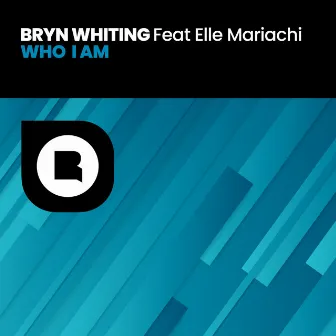 Who I Am by Bryn Whiting