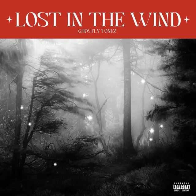 Lost in the Wind