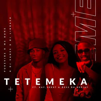 Tetemeka (feat. Dj VansS, Kay_Gee07, Dess Da Deejay) by PureVibe