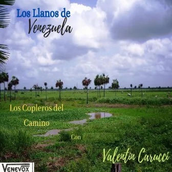 Los Llanos de Venezuela by Valentin Caruci