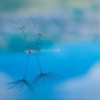 Love Goes On by Aerial Love