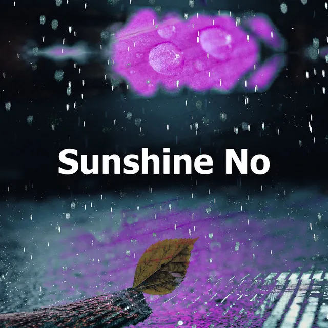 Sunshine No