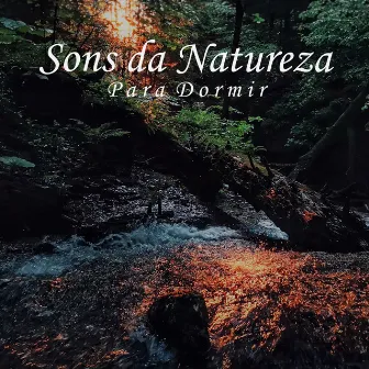 Sons da Natureza para Dormir by Oasis Relaxamento