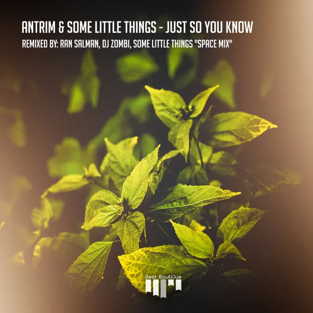 Just So You Know - Some Little Things Space Mix