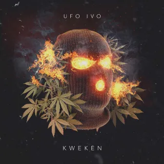 Kweken by Ufo Ivo