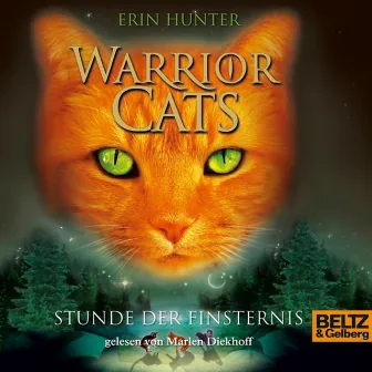 Warrior Cats. Stunde der Finsternis (I, Folge 6) by Erin Hunter