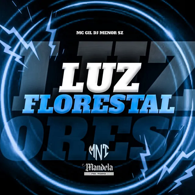 Luz Florestal