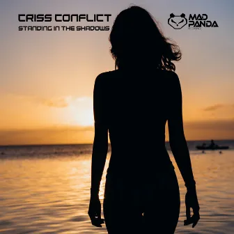 Standing in the Shadows by Criss Conflict