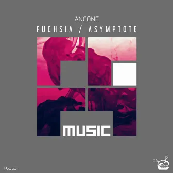 Fuchsia / Asymptote by Ancone