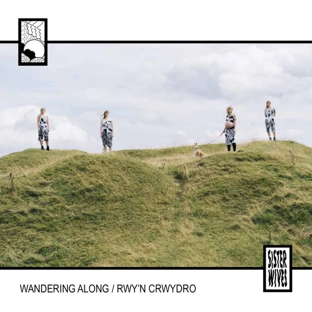 Wandering Along / Rwy'n Crwydro (Radio Edit)