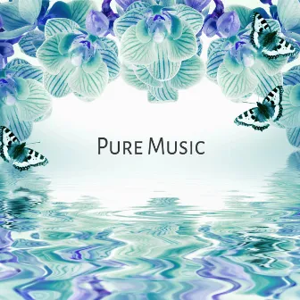 Pure Music – Massage Music, Spa Music, Wellness Ambience, Therapy Music, Mindfulness Meditation, Nature Sounds by Home SPA Collection