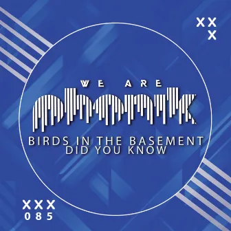 Did You Know by Birds in the Basement