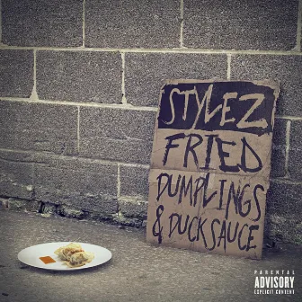 Fried Dumplings and Duck Sauce by Stylez