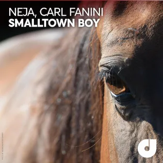 Smalltown Boy by Carl Fanini