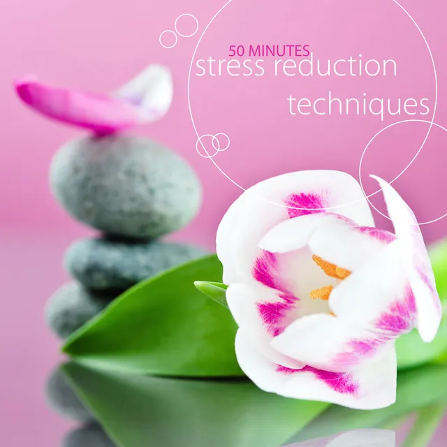 Stress Reduction Techniques: 50 Minutes Relaxing Zen Meditation Music for Qigong Yoga Exercises & Deep Meditation