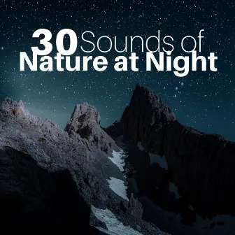 30 Sounds of Nature at Night by Unknown Artist