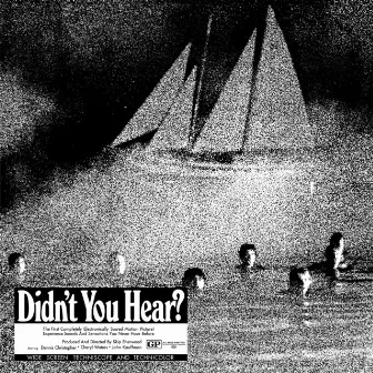 Didn't You Hear? by Mort Garson