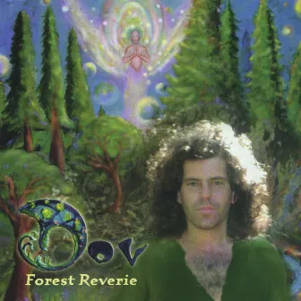 Forest Reverie by Dov