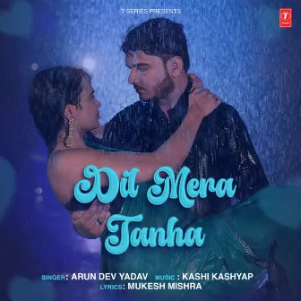 Dil Mera Tanha by Arun Dev Yadav