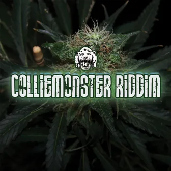 Colliemonster Riddim by Pharfar