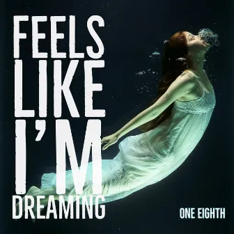 Feels Like I'm Dreaming by Unknown Artist