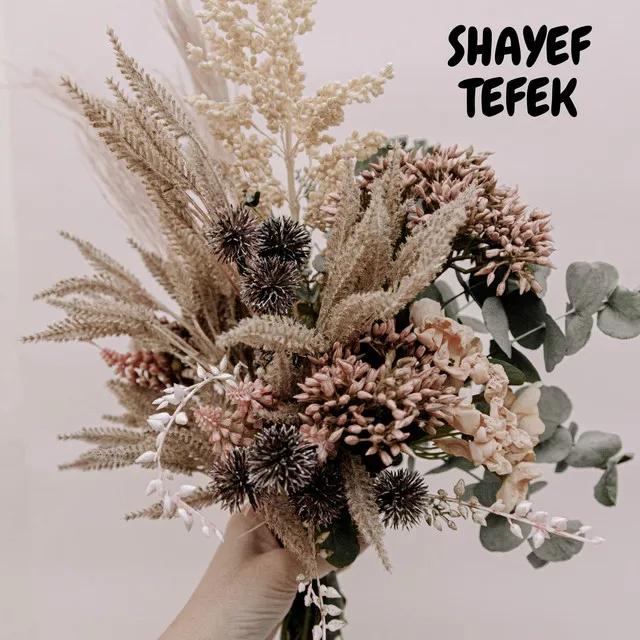 Shayef Tefek - Cover