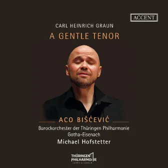 A Gentle Tenor by Aco Bišćević