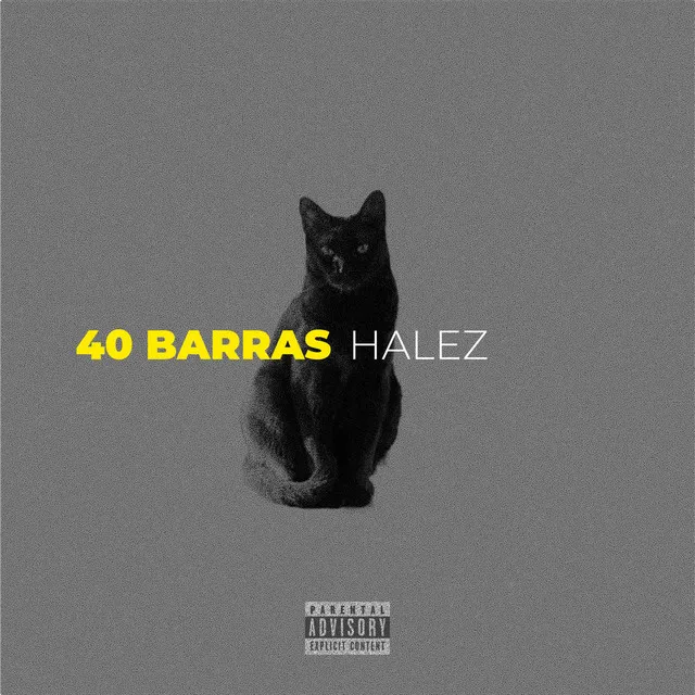 40 BARRAS