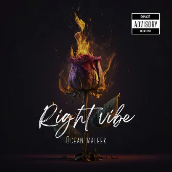 Right Vibe by Ocean Maleek