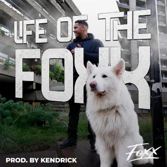 L.O.T.F by FoXx UK