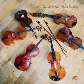 Viola Spaces by Garth Knox