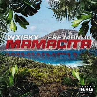 Mamacita by WXISKY