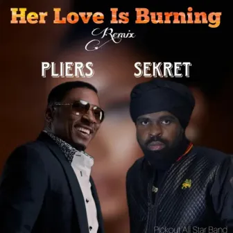 Her Love Is Burning by Pliers