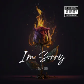 I'm Sorry by Brainboy