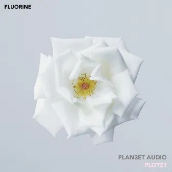 Fluorine by PLOT21