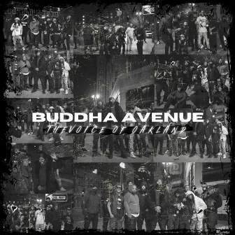 The Voice Of Oakland by Buddha Avenue