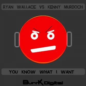 You Know What I Want by Ryan Wallace