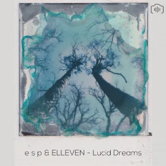 Lucid Dreams by e s p