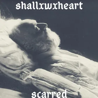 Scarred by Shallxwxheart