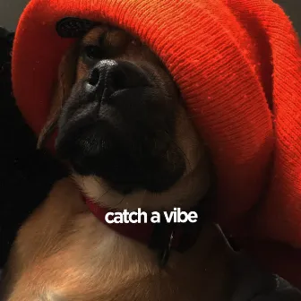 Catch a Vibe by Josh Galiano