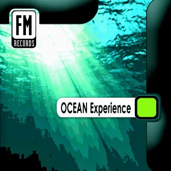 Ocean Experience by Massimo D'Arrigo