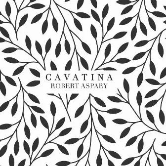 Cavatina by Robert Aspary