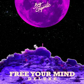 Free Your Mind (Deluxe Version) by Big Gigantic