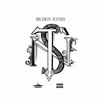 T.N.S by Bigboy Jones